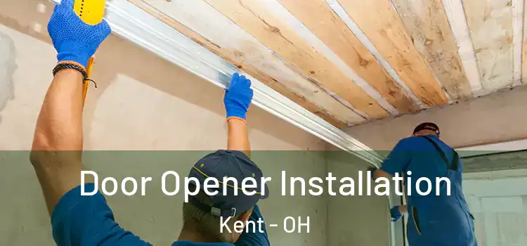  Door Opener Installation Kent - OH