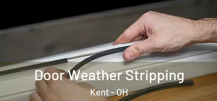 Door Weather Stripping Kent - OH