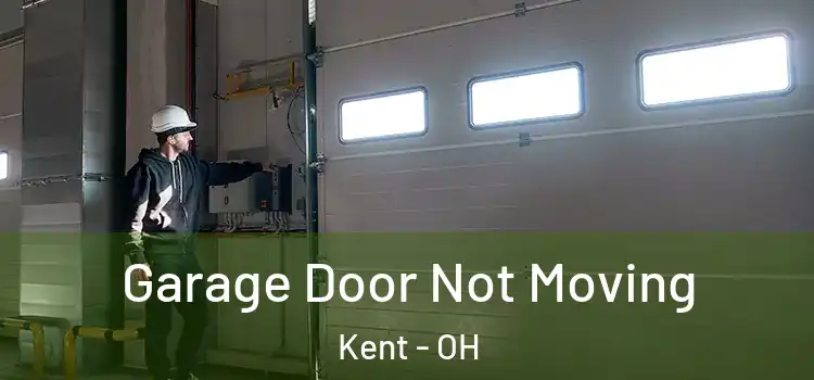  Garage Door Not Moving Kent - OH