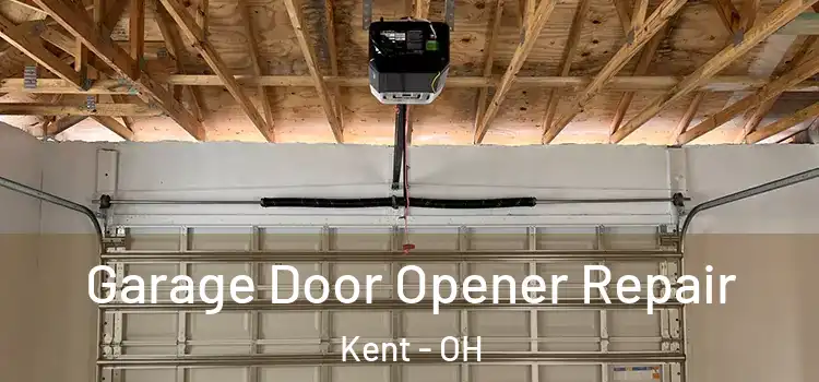  Garage Door Opener Repair Kent - OH