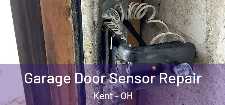 Garage Door Sensor Repair Kent - OH