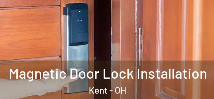  Magnetic Door Lock Installation Kent - OH