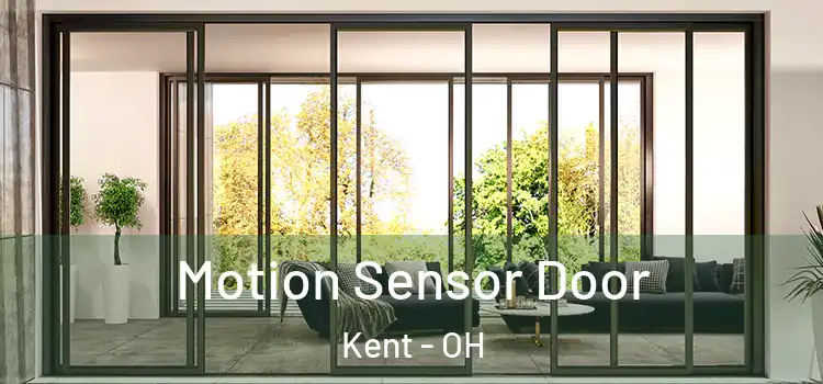 Motion Sensor Door Kent - OH
