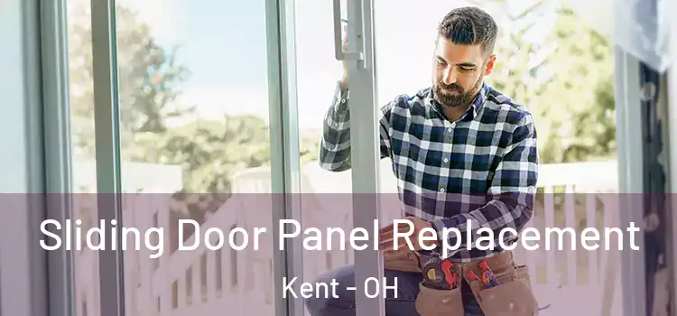  Sliding Door Panel Replacement Kent - OH