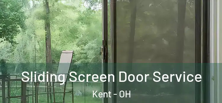 Sliding Screen Door Service Kent - OH