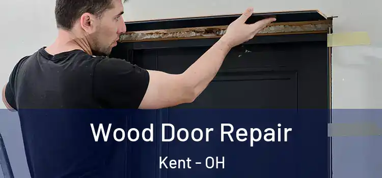 Wood Door Repair Kent - OH